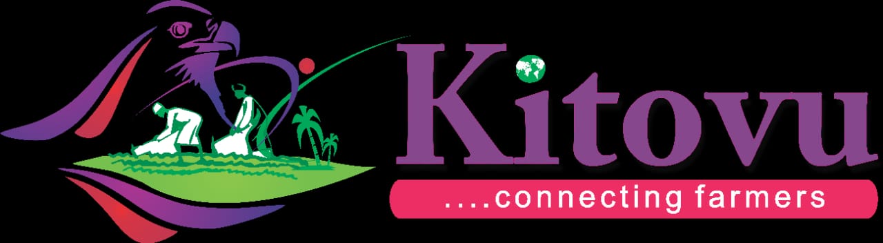 Kitovu Technology Company