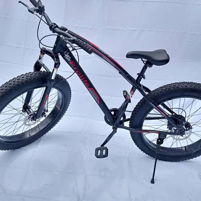 Big Tyre Bicycle